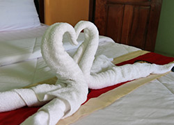 Honeymoon Perfection